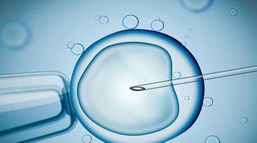 昆明做试管代孕的要求,美国试管婴儿：子宫内膜炎会导致胚胎不能着床吗？